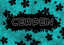 CERPEN 